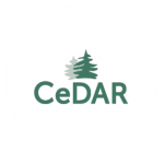 Behavioral Health CeDAR icon