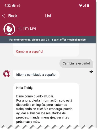 Livi chat window in Spanish