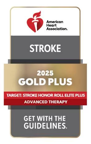 Get With the Guidelines Gold Plus Stroke 2023 badge