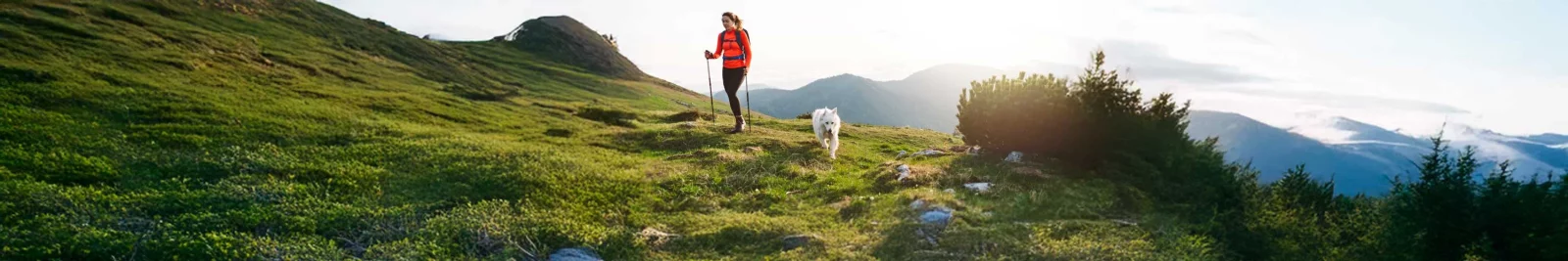 UCHealth Pet Policy woman hiking with dog