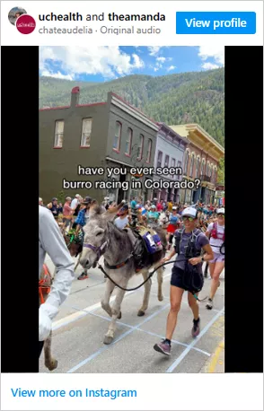 Las carreras de burros en paquete podrían ser una de las tradiciones más entretenidas de Colorado que he visto.