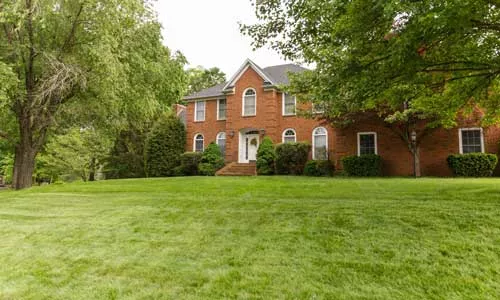 STIHL - Tips for a Healthy Lawn