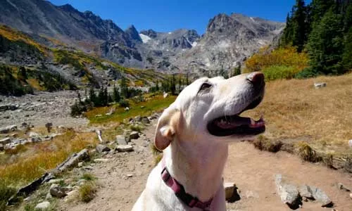 UCHealth Today - Make reservations now for popular summer attractions in Colorado