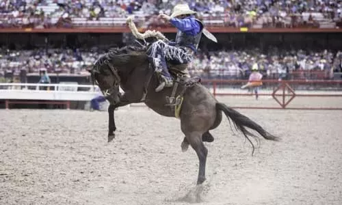 UCHealth Today - Join real cowboys and cowgirls at Cheyenne Frontier Days, the largest outdoor rodeo in the world
