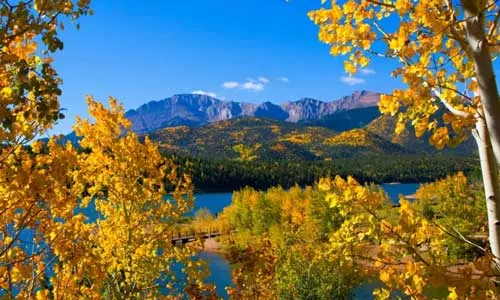 UCHealth Today - Top spots to see aspens in Colorado.