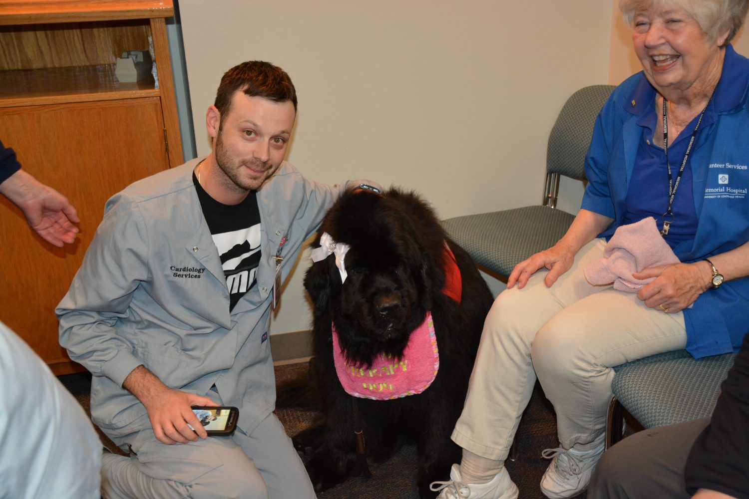 therapy dog