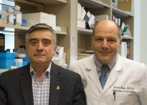 Daniel Winnica, PhD, left, joined the University of Colorado School of Medicine faculty with Holguin, a longtime collaborator on cellular-level asthma research.