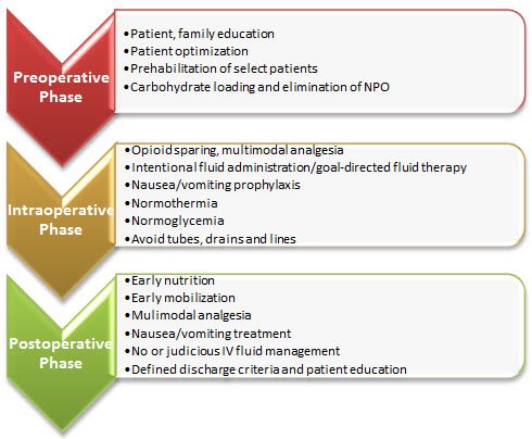 Touchstones of the Enhanced Recovery After Surgery program are shown.