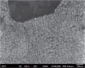 Gold nanorods, as seen through a scanning electron microscope (courtesy Won Park).