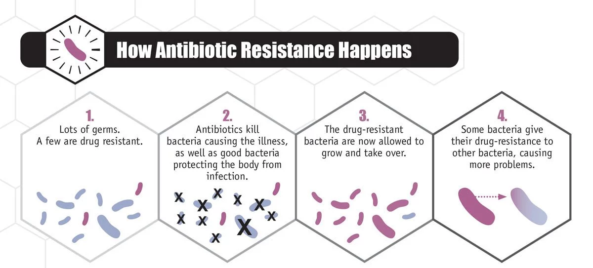 This graph explains the four stops to how antibiotic resistance happens.