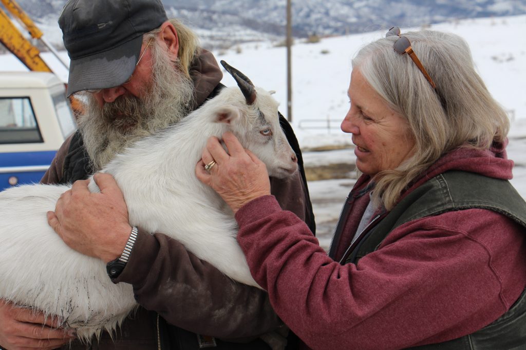 Carl Wheeler holds Patsy, Barb's miniature fainting goat and steadfast companion.