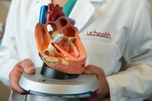 Dr. Peter Walinsky holds a model of a heart.
