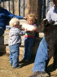 Charli and Hudson Chant feed a calf on their Wyoming ranch. Photo courtesy of the Chant family.