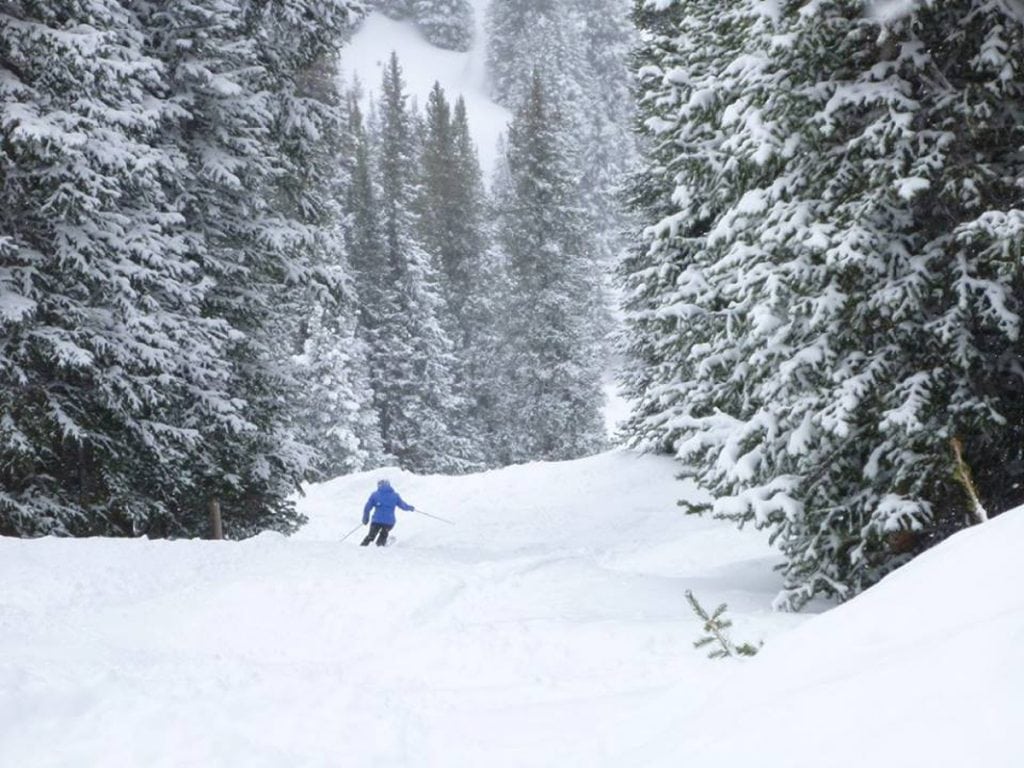 A lone skier, Trisha Washburn, skies through a narrow valley with snow-covered pine trees surrounding her. Washburn loves skiing, but lost her confidence after an Alzheimer's diagnosis.