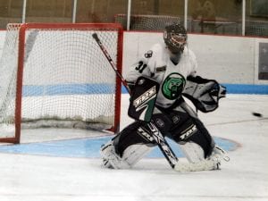 Golly in front of net