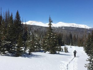 two skiers all alone on a trail near Cameron Pass