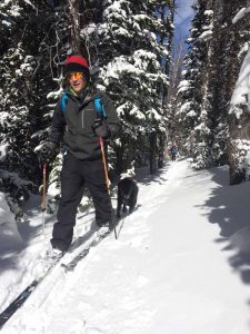 a cross-country skier with a black lab following him.
