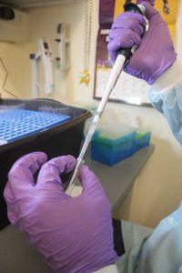Image demonstrating how research is being done for age-related age-related macular degeneration.