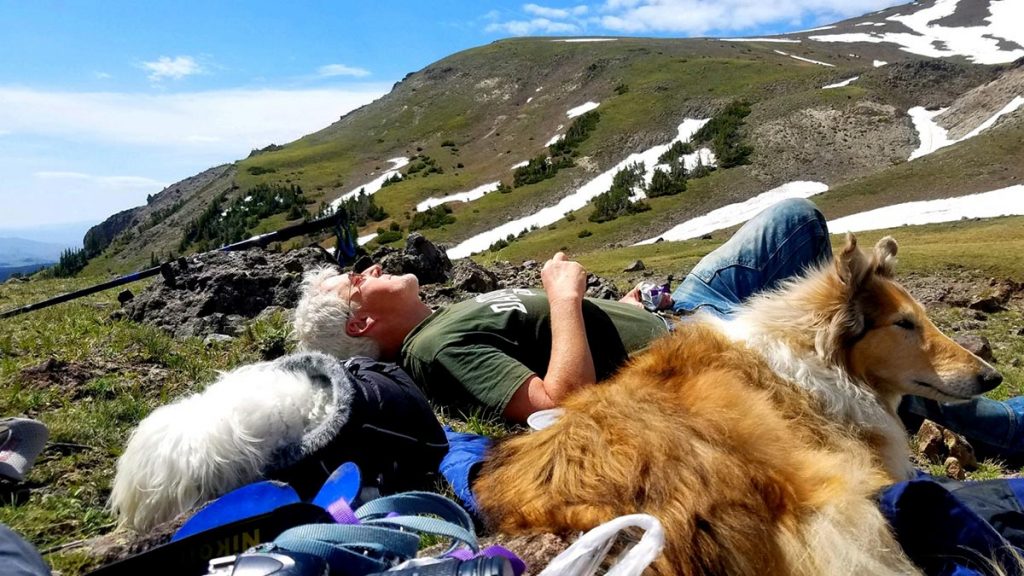 Joe Boardman lays on his back in the Wyoming mountains with his collie, Stella, and his Havanese, Tess.