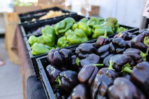 An array of colorful purple and green peppers