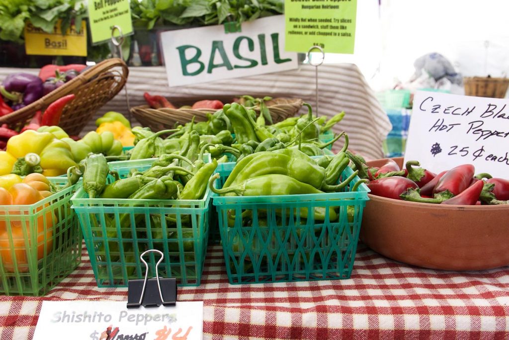 Fresh Colorado chile peppers and basil