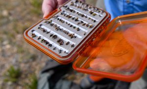 flies in a tackle box