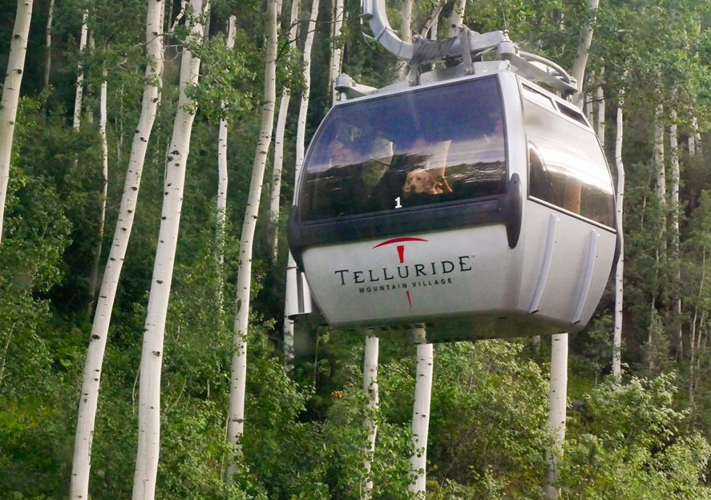 free gondolas in Colorado include the one in Telluride. Here you see a gondola car with a dog peeking out the window. In the background are aspen trees on a green ski slope in the summer.