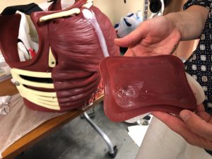 A silicone blood bladder is displayed in front of a cut suit chest cavity which makes trauma training more realistic..