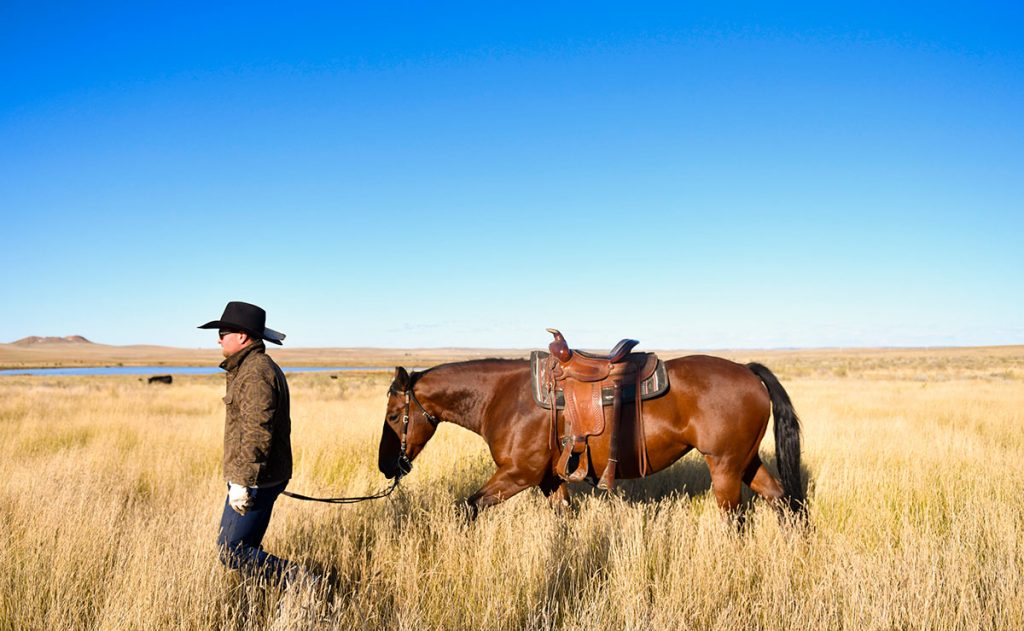 Rancher Nathan Kissack walks his horse, Dixie, on his parents' Wyoming ranch.