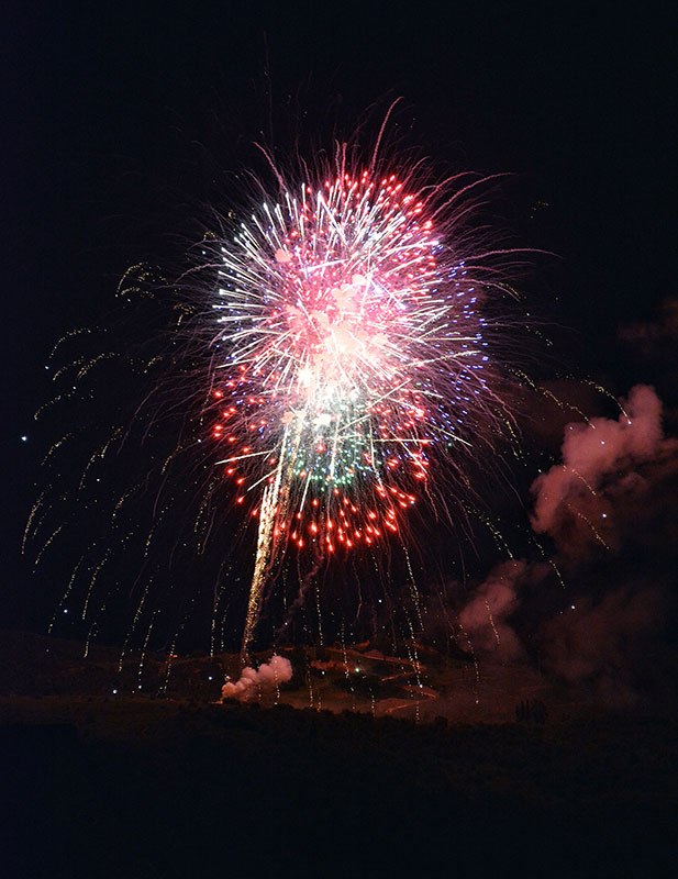Fireworks light up the night sky in this photo.