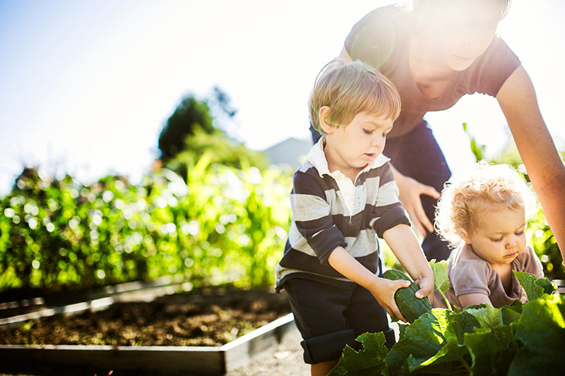 kids gardening with their parent.