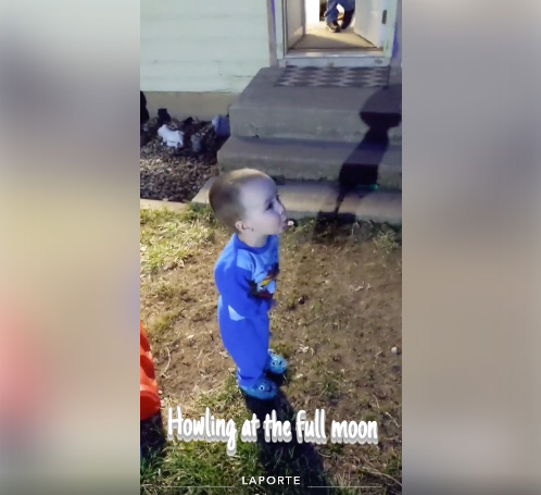 small boy howls at 8 p.m. in Laporte, Colorado, one way people are connecting during covid pandemic.