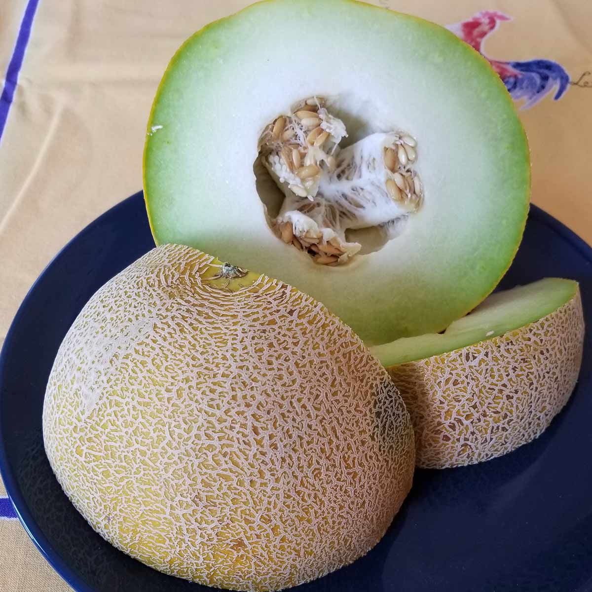 Cooking with melon start with the fragrance UCHealth Today