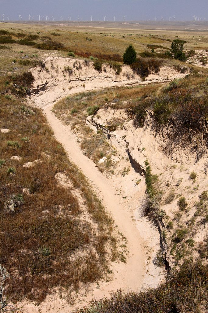 hiking trail through an arroyo at the Pawnee National Grassland.