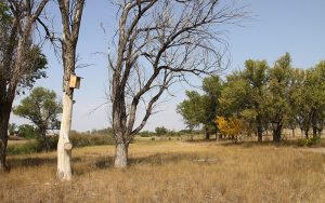 bird watching trail at crow valley