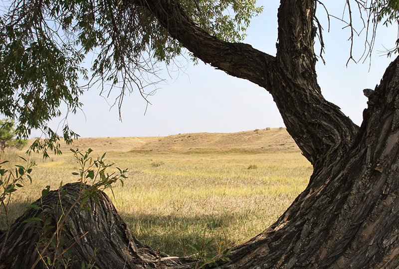 open prairie of the Pawnee National Grassland.