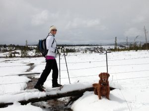 A woman and her dog cross country ski, which is a safe option to ski during COVID-19 because you avoid crowds.