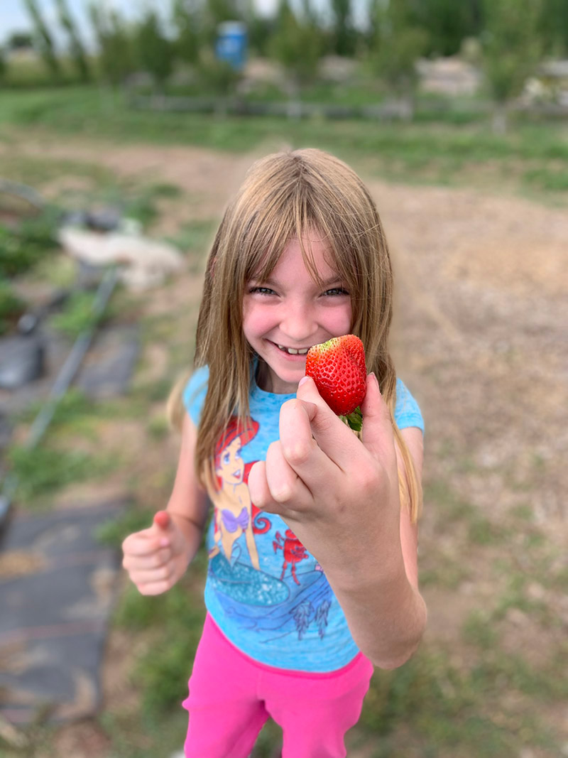 Juno, who is helping others to become a blood donor, holds a strawberry.