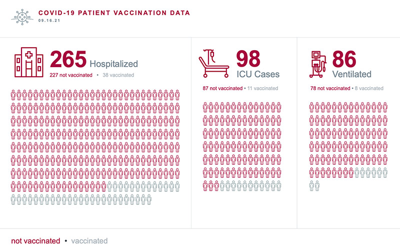 a chart showing COVID-19 hospitalizations of the vaccinated and unvaccinated, including ICU cases and those on ventilators.