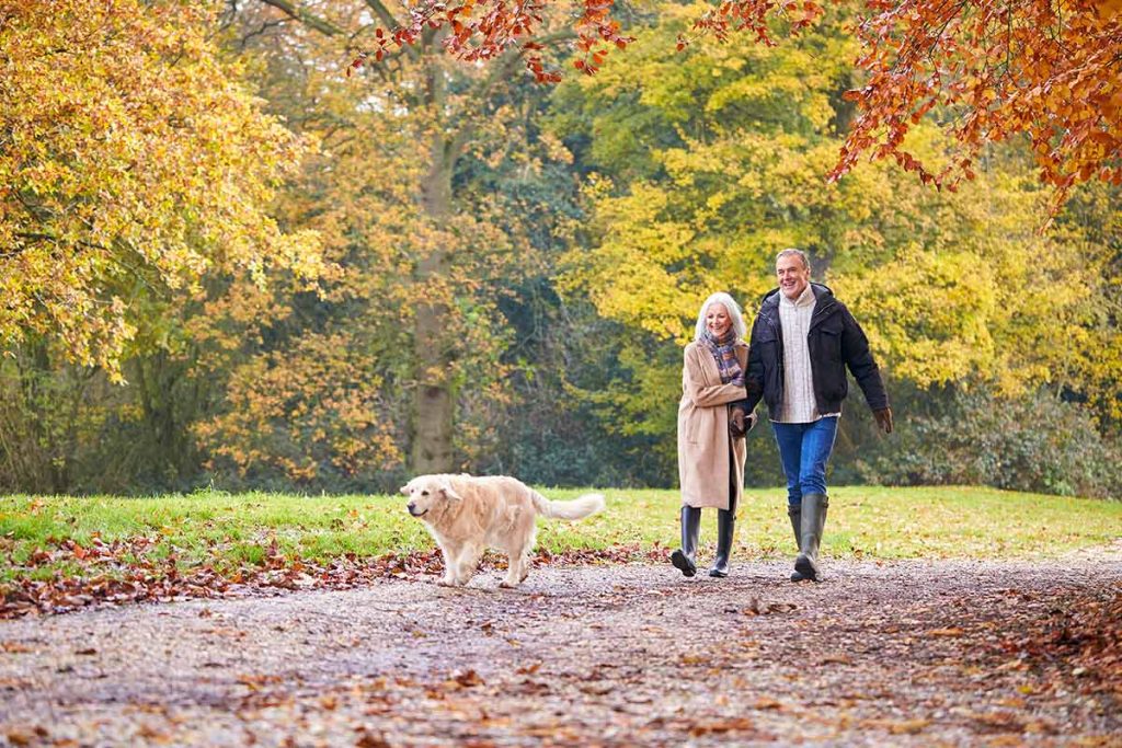 A couple walks in a park