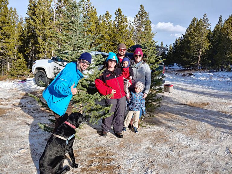 Cut your own Christmas tree in Colorado's lovely forests UCHealth Today