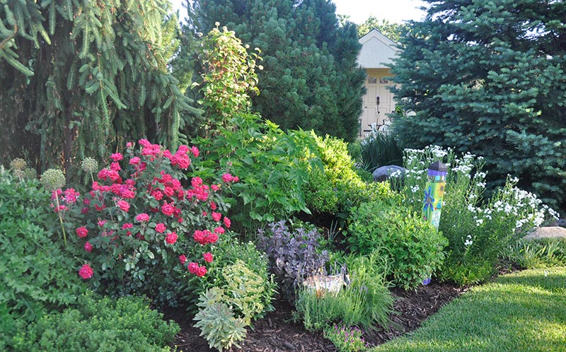 a healthy lawn and garden in Colorado because the owner started preparing her garden in Spring.