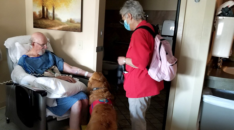 Bill Patton receives a visit from a therapy dog and its handler at UCHealth Medical Center of the Rockies, where he received treatment for his stroke and heart condition. Photo courtesy of Sally Patton.