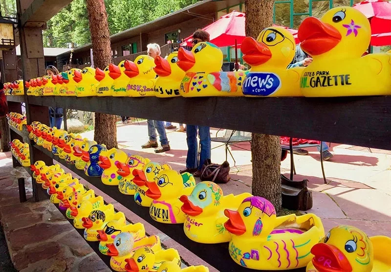 Durante uno de los eventos comunitarios más queridos de Estes Park, los participantes adoptan un patito de goma para tener la oportunidad de ganar premios. Desde su creación en 1989, este evento del Club Rotario ha recaudado más de 3,7 millones de dólares para organizaciones benéficas locales. Fotografía cortesía del Club Rotario de Estes Park.