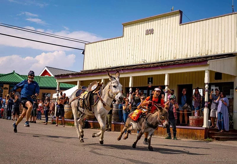 Racers dash down the street of the town of Fairplay, Colorado, in an exciting race that's taken place for more than 75 years. "Burro Days" happens every July in Colorado. Photo by Judi Manutes, courtesy of the Town of Fairplay