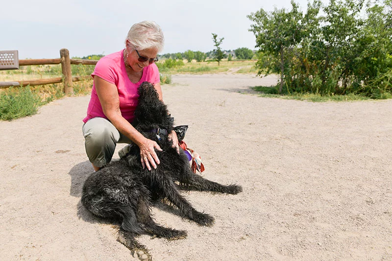 After fighting back from chronic back pain, Audrey's days now are full of joy and movement. She loves walking with her dog, Bella. Her greatest gift is the opportunity to inspire others: "If I can do it, others can too." Photo by Cyrus McCrimmon, for UCHealth.