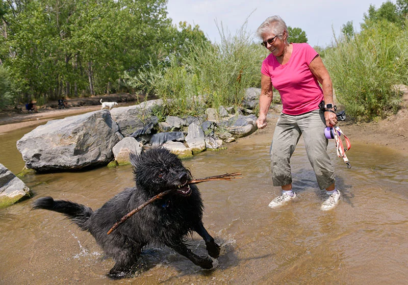 Audrey and Bella both enjoy playing in the water at Cherry Creek State Park. Just days after her second back fusion surgery, Audrey was walking laps around the hospital, surprising her care team as she logged more than 10,000 steps a day. Photo by Cyrus McCrimmon, for UCHealth.