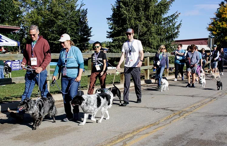 El evento "Patas en el Parque" en Longmont incluye una caminata de 5 km con el mejor de los amigos, los amigos de cuatro patas. Foto cortesía de Longmont Humane Society.