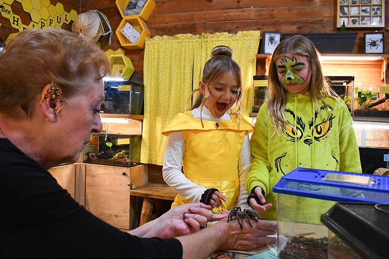 Un gran evento familiar en octubre en Colorado es una visita al Zoológico Cheyenne Mountain de Colorado Springs durante su evento anual "Buu en el Zoológico". Foto cortesía de Cheyenne Mountain Zoo.