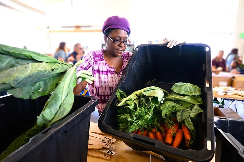 Reece, a volunteer at a recent No Cost Grocery program at Food to Power, helps shoppers choose from a variety of fresh vegetables harvested that morning from the on-site farm. More than 200 people attended a recent No Cost Grocery event. Photo by Mark Reis, for UCHealth.